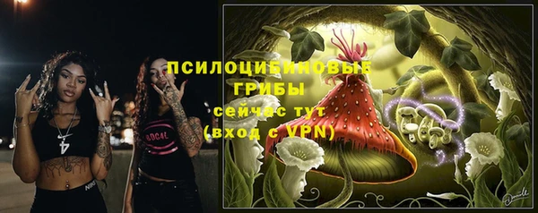apvp Белоозёрский