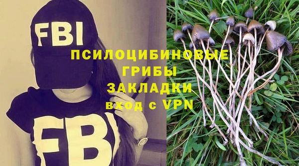 сатива Куйбышев
