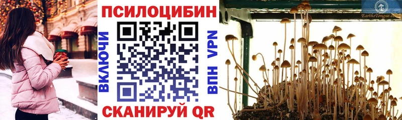 Псилоцибиновые грибы ЛСД Верхняя Тура